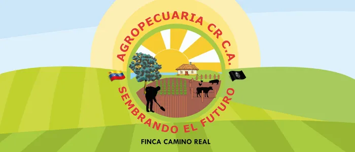 Banner camino real