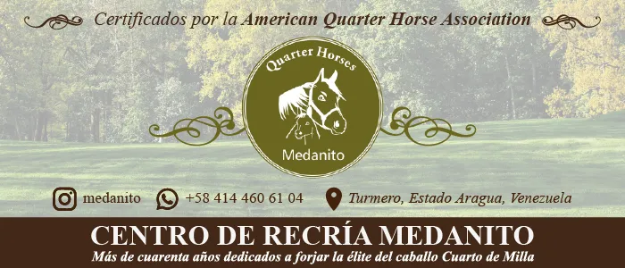 BANNERS-MEDANITOO